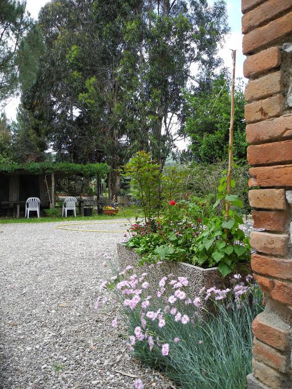 Podere Oslavia Az.Agr.Bio Giannini Alberese Exterior foto