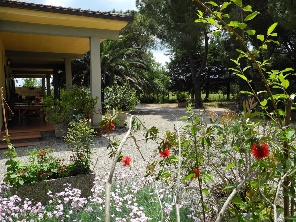 Podere Oslavia Az.Agr.Bio Giannini Alberese Exterior foto